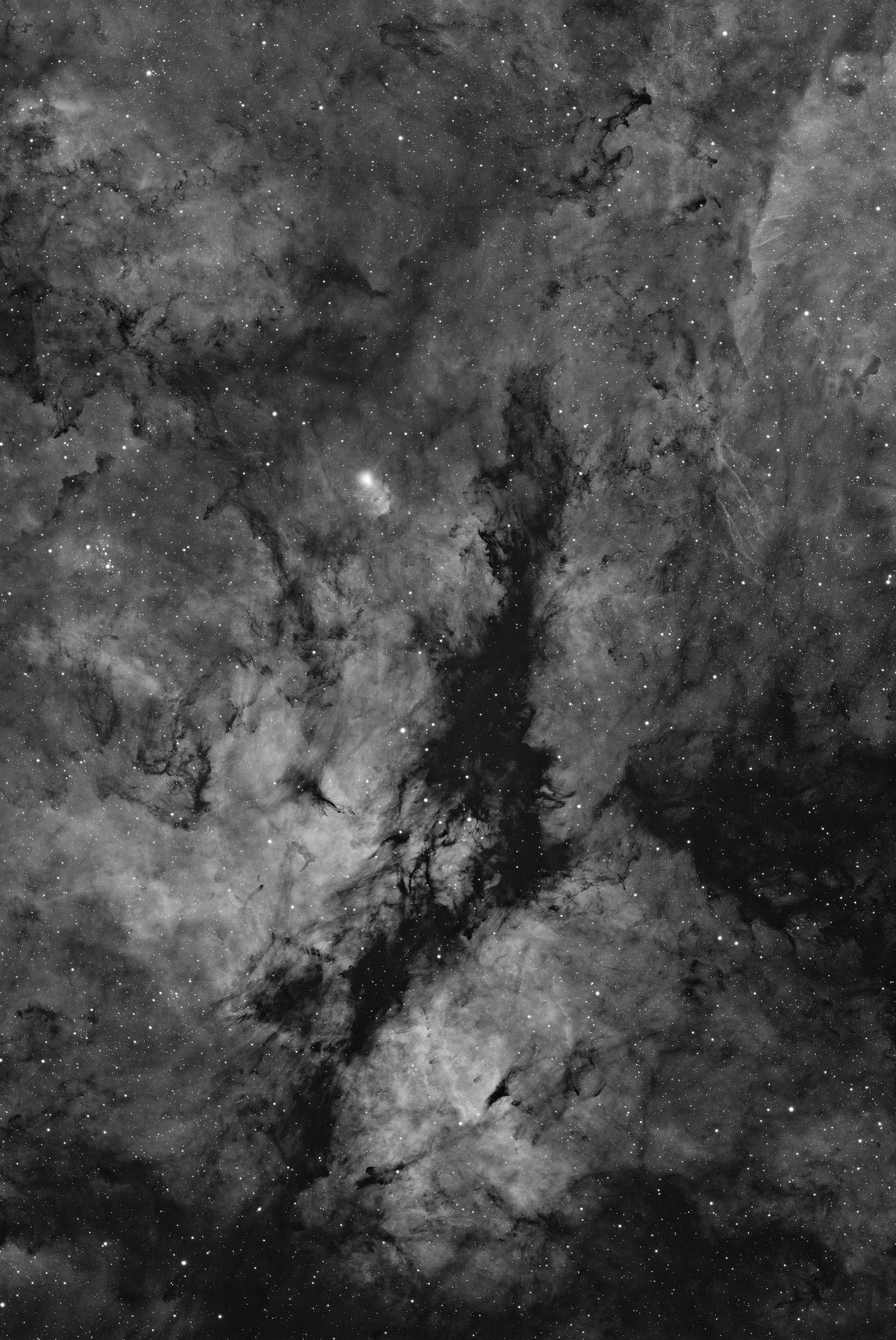 20260523 Sadr SQA106 ASI2600MM 65x300s Ha 2000px.jpg