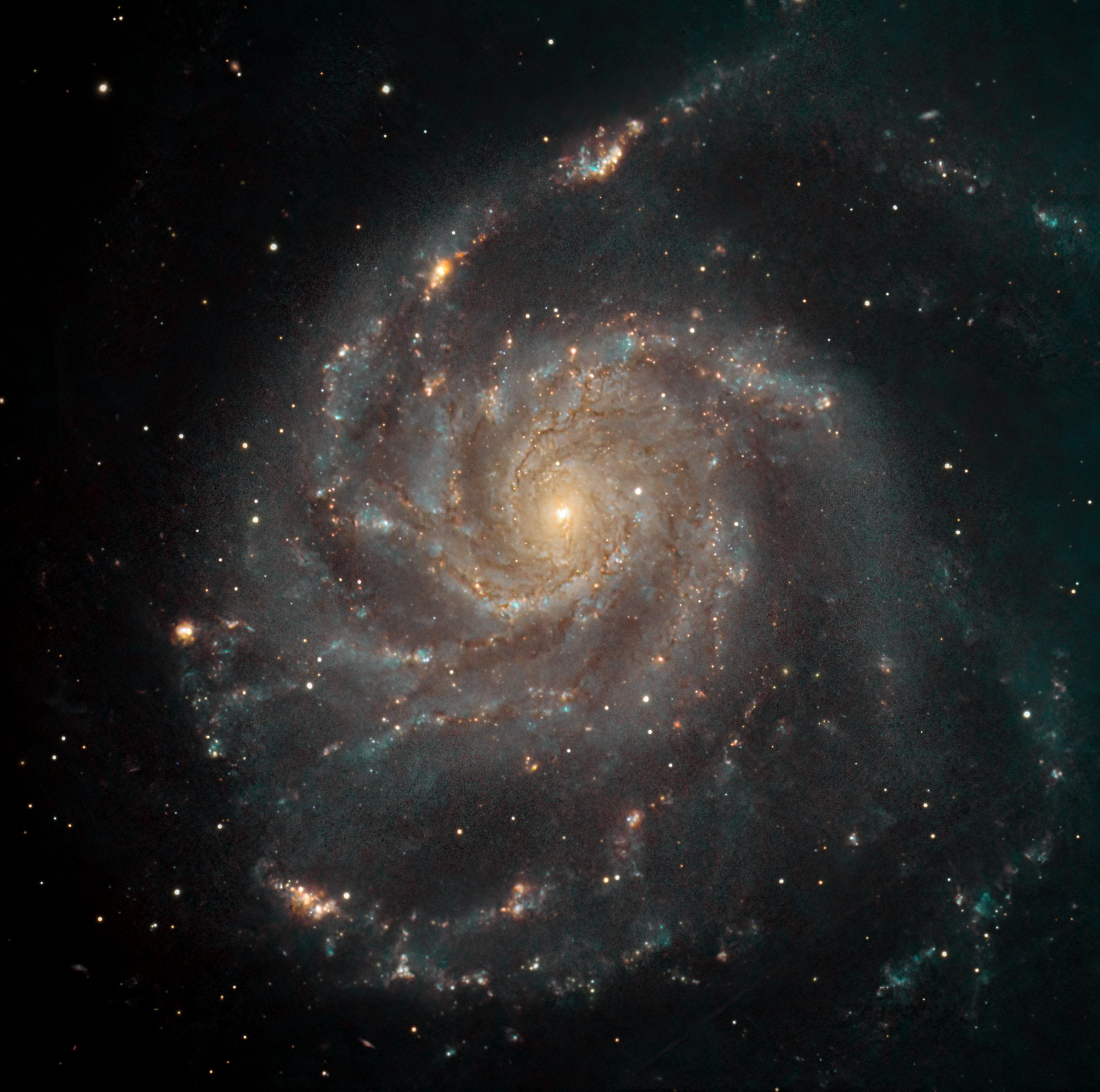 m101.jpg