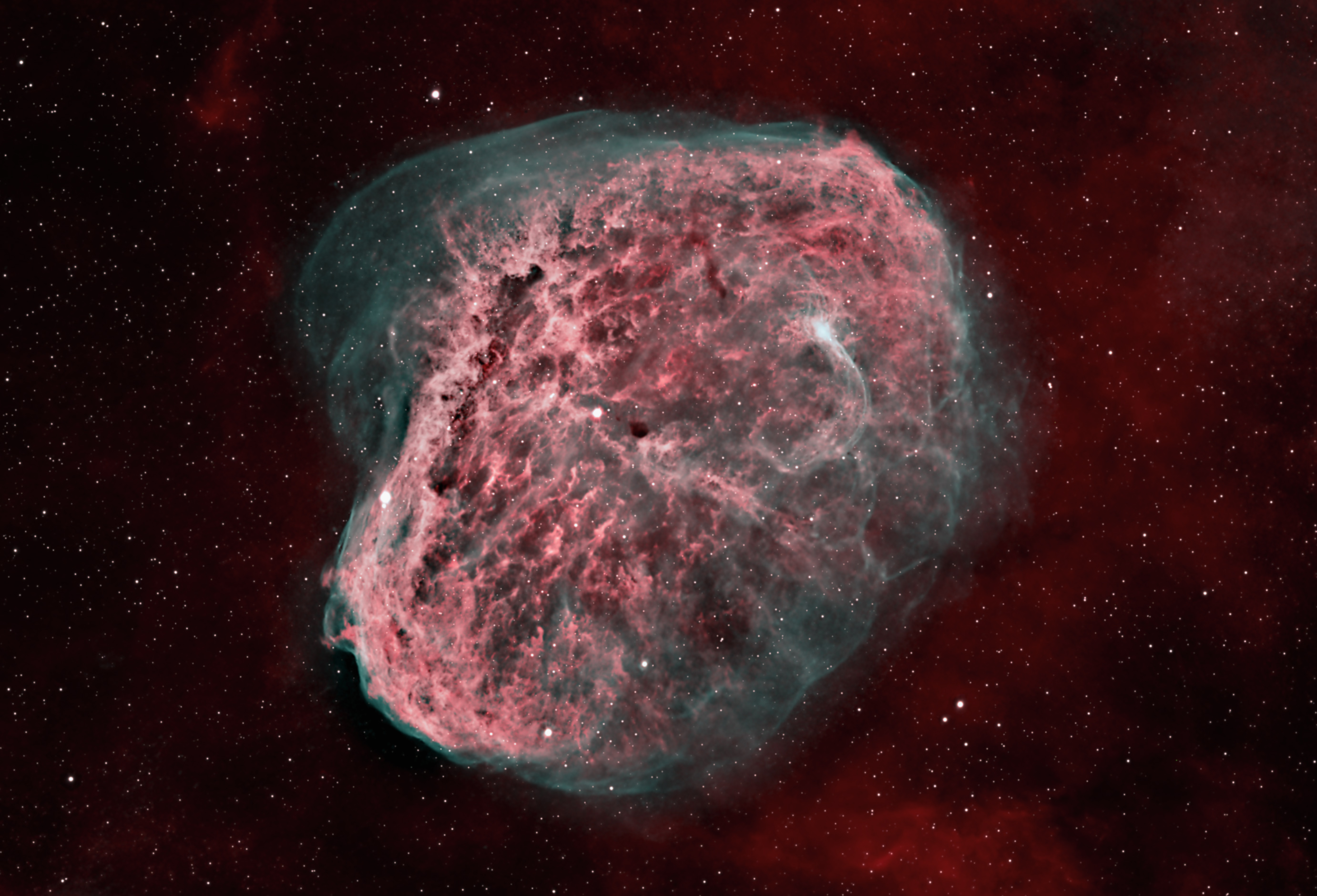 ngc6888 kopie.jpg