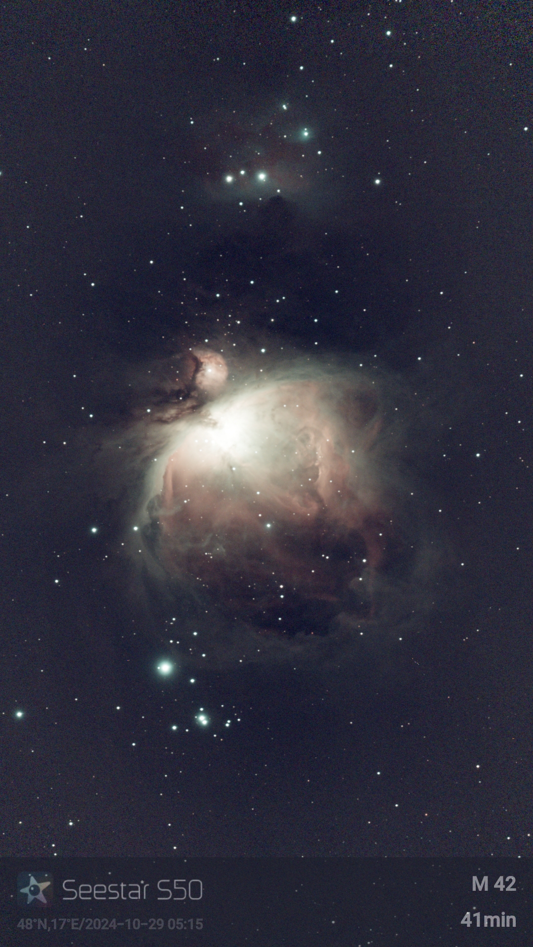 1730175331647.jpg