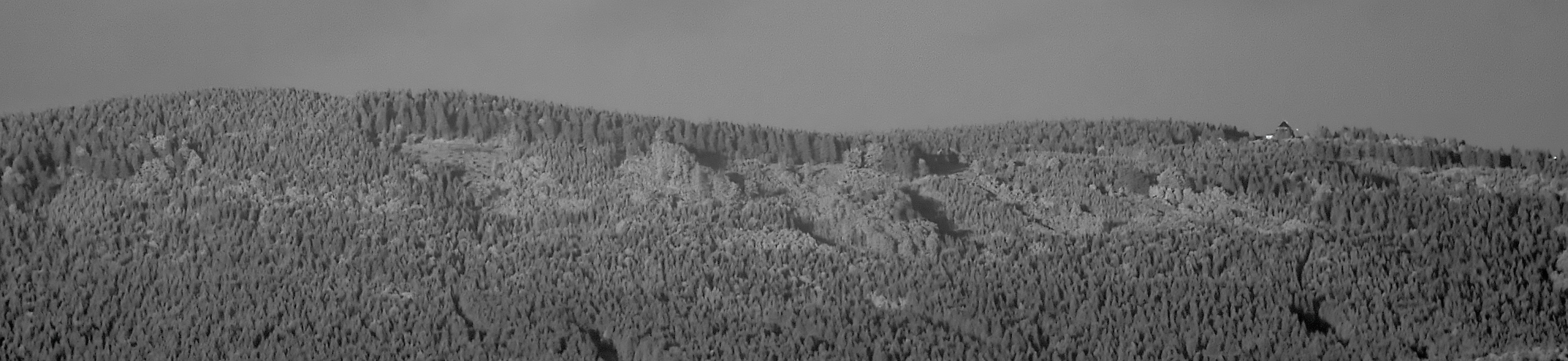 2026-09-01-Šerlich.jpg