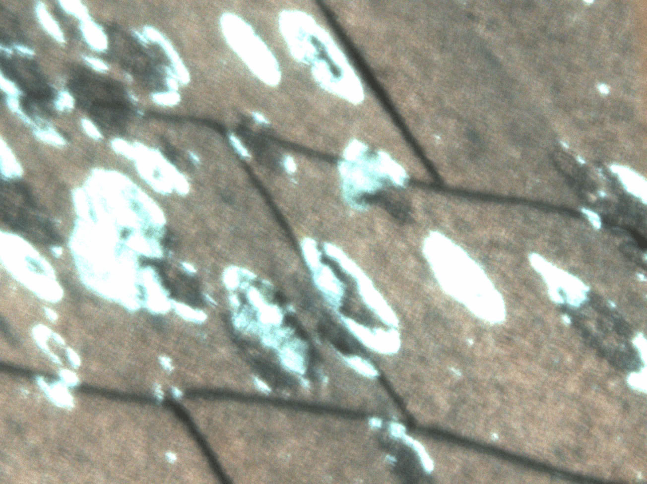 2026-09-03-1352_2-CapObj_F001-001.jpg