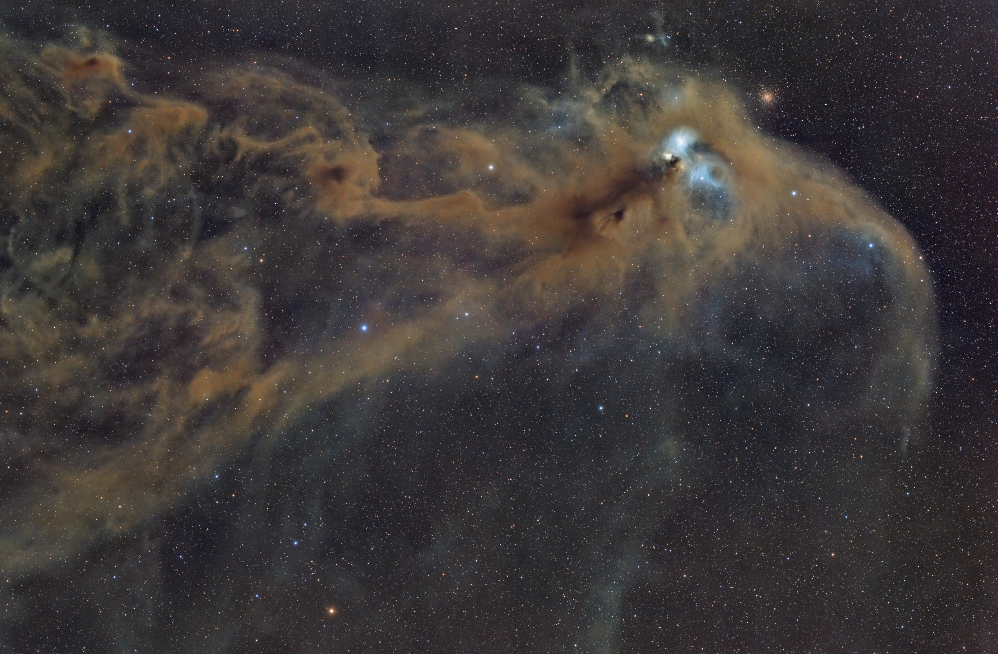 NGC 6729_Corona Australis_v2_AF.jpg