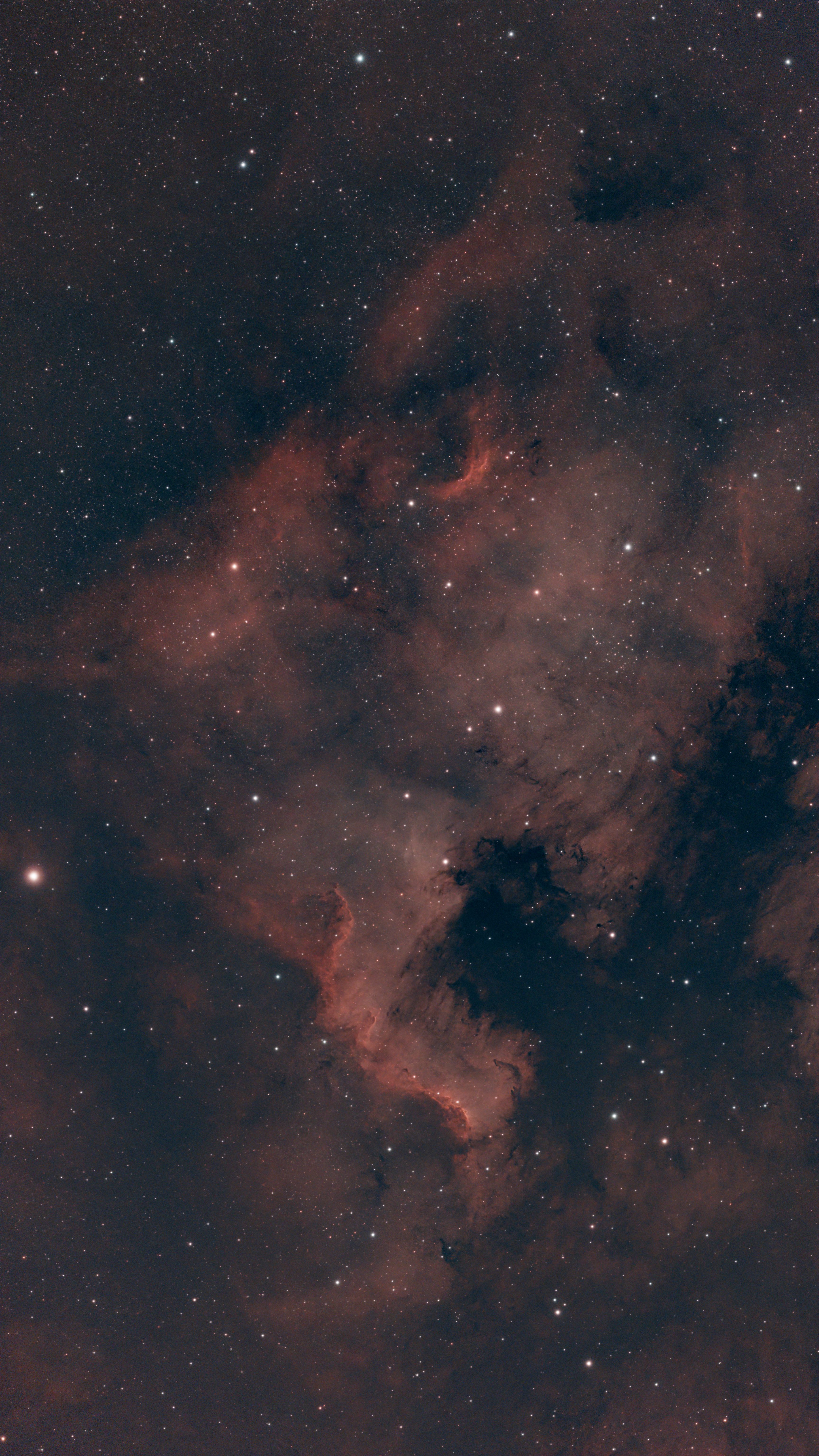 S50PRO_NGC7000.jpg