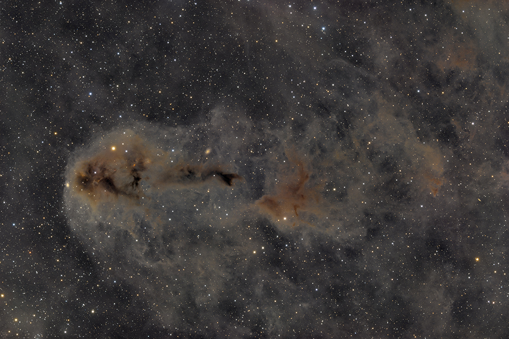 LBN558.jpg