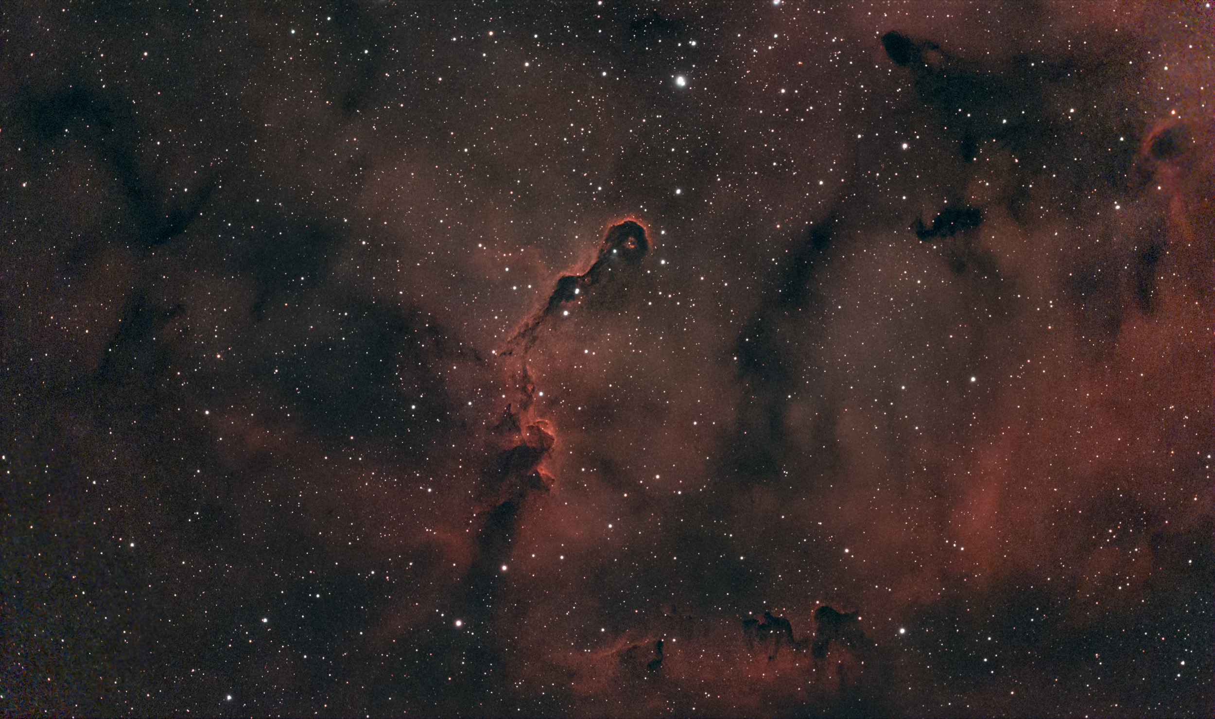 Seestar S50 Pro IC1396 91 min.jpg