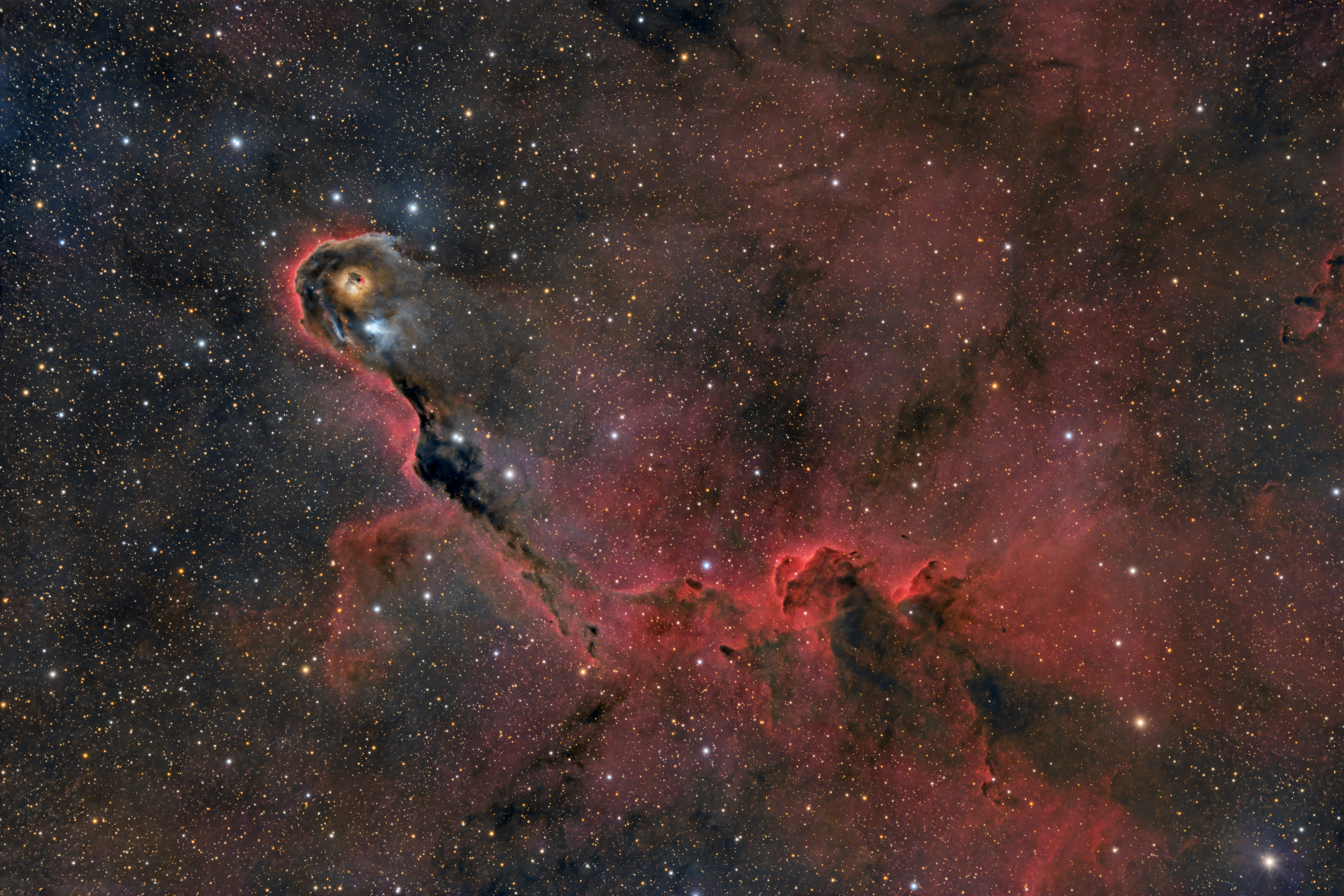 IC 1396_2026-09_276 x 120 s_PI.jpg