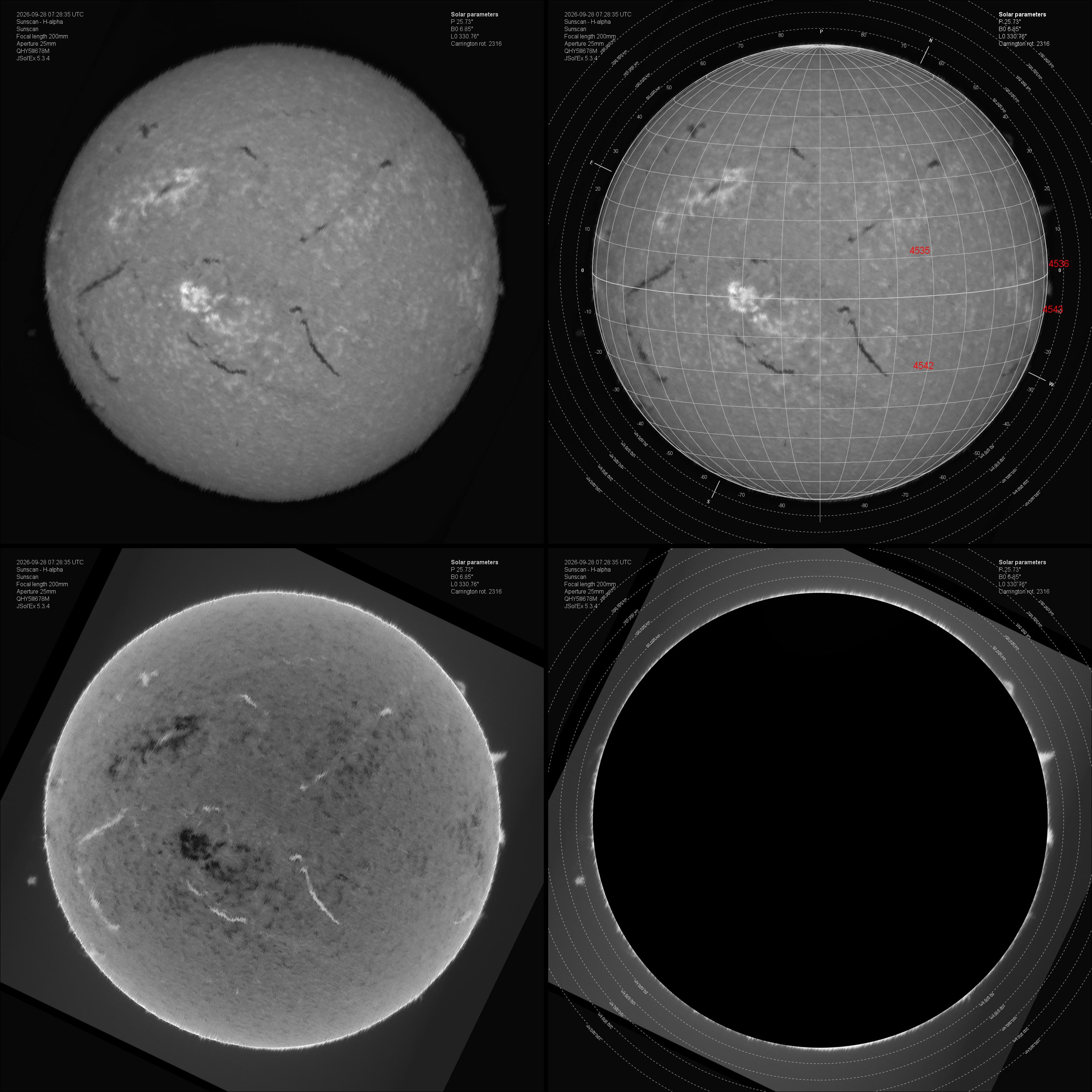 Sun_1_20260928_collage.jpg