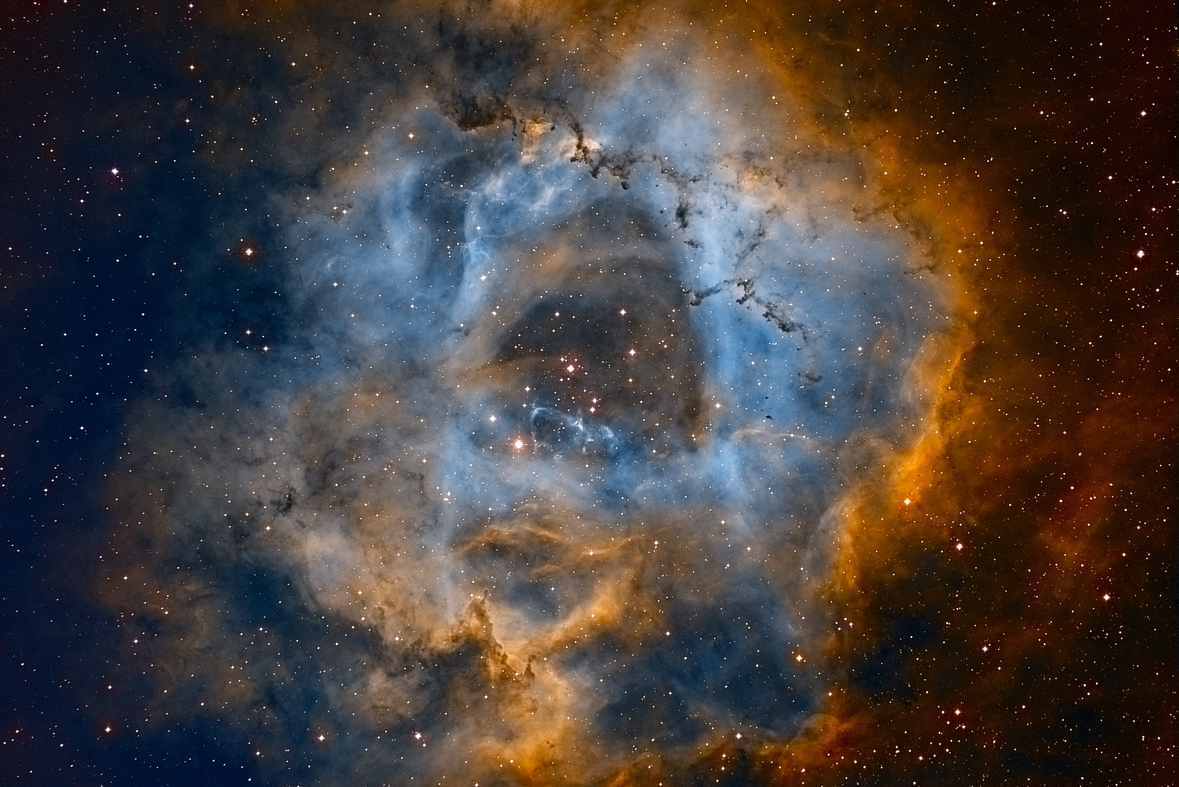 Rosette_SHO2-fin.jpg