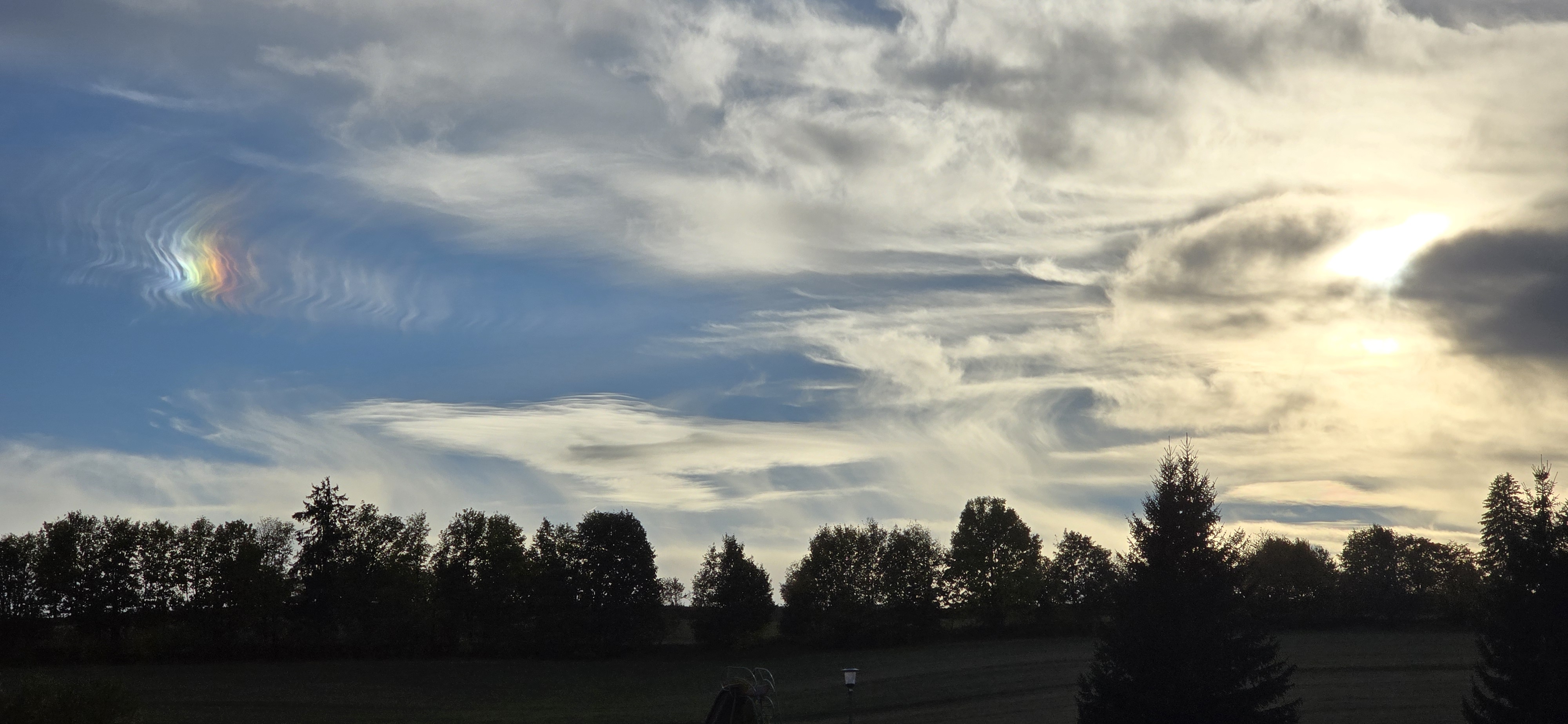 20261009_165416.jpg