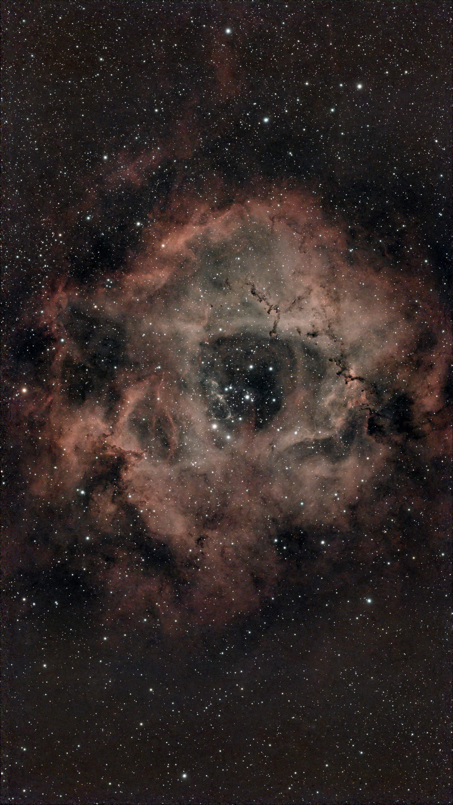 Rosette_web.jpg