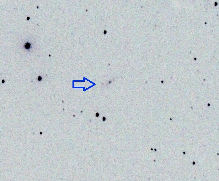 SN 2019np_cr.jpg