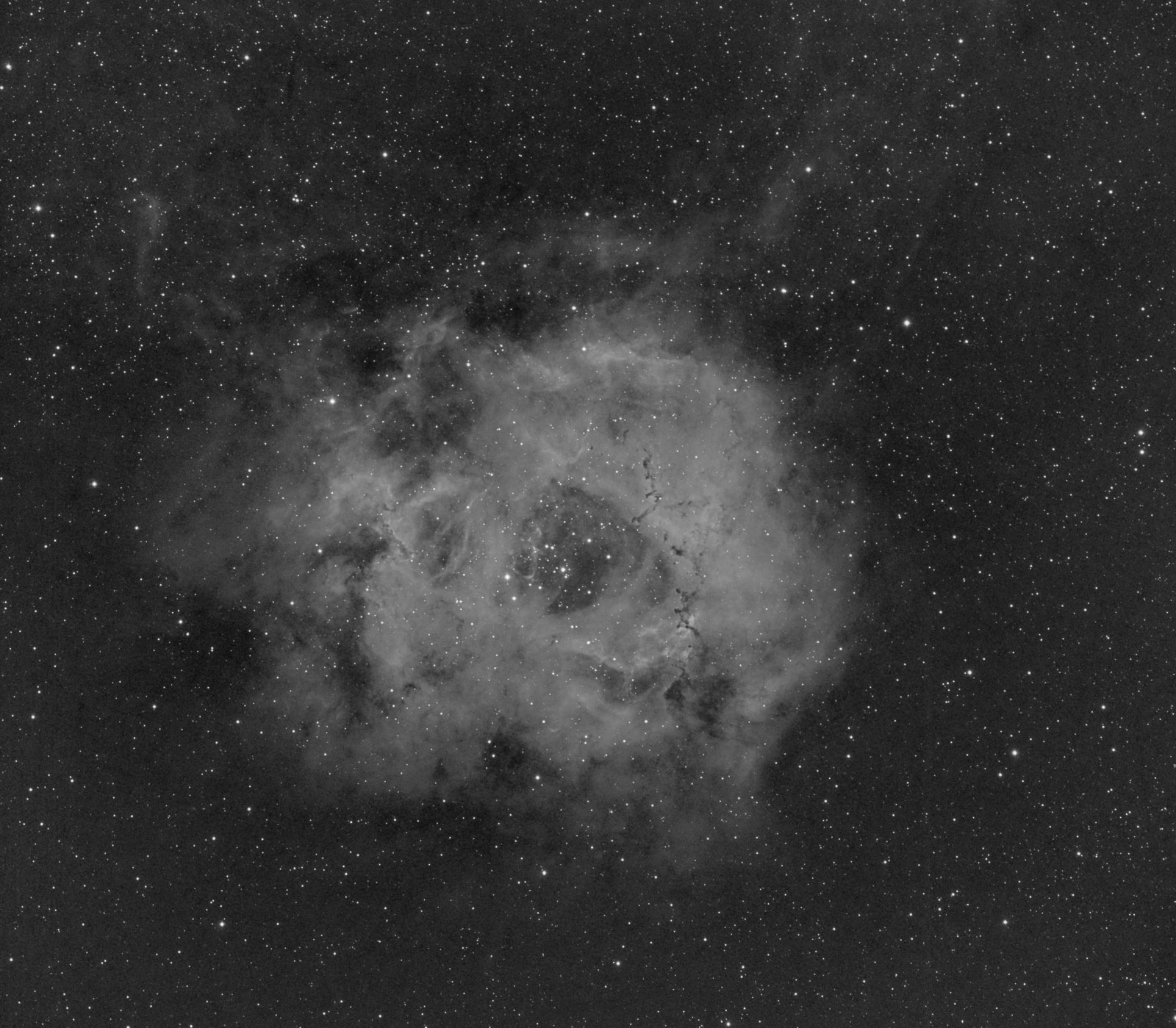 Rosette.jpg