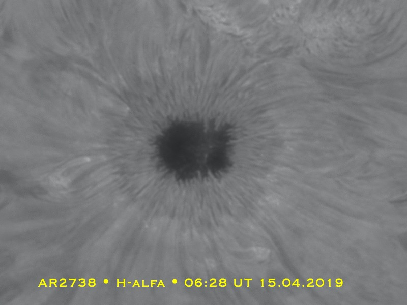 2019-04-15-0626_8-AR2738-174.jpg