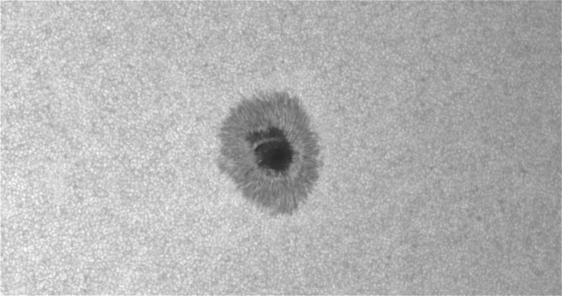 HDR_SUNSPOT.jpg