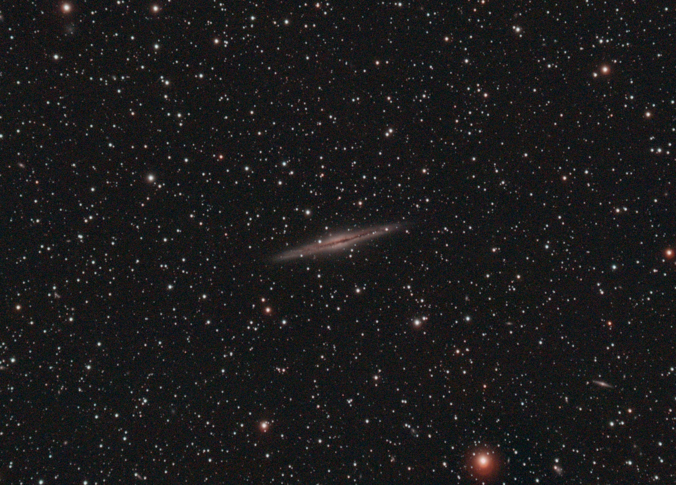 NGC891 Pixi.jpg