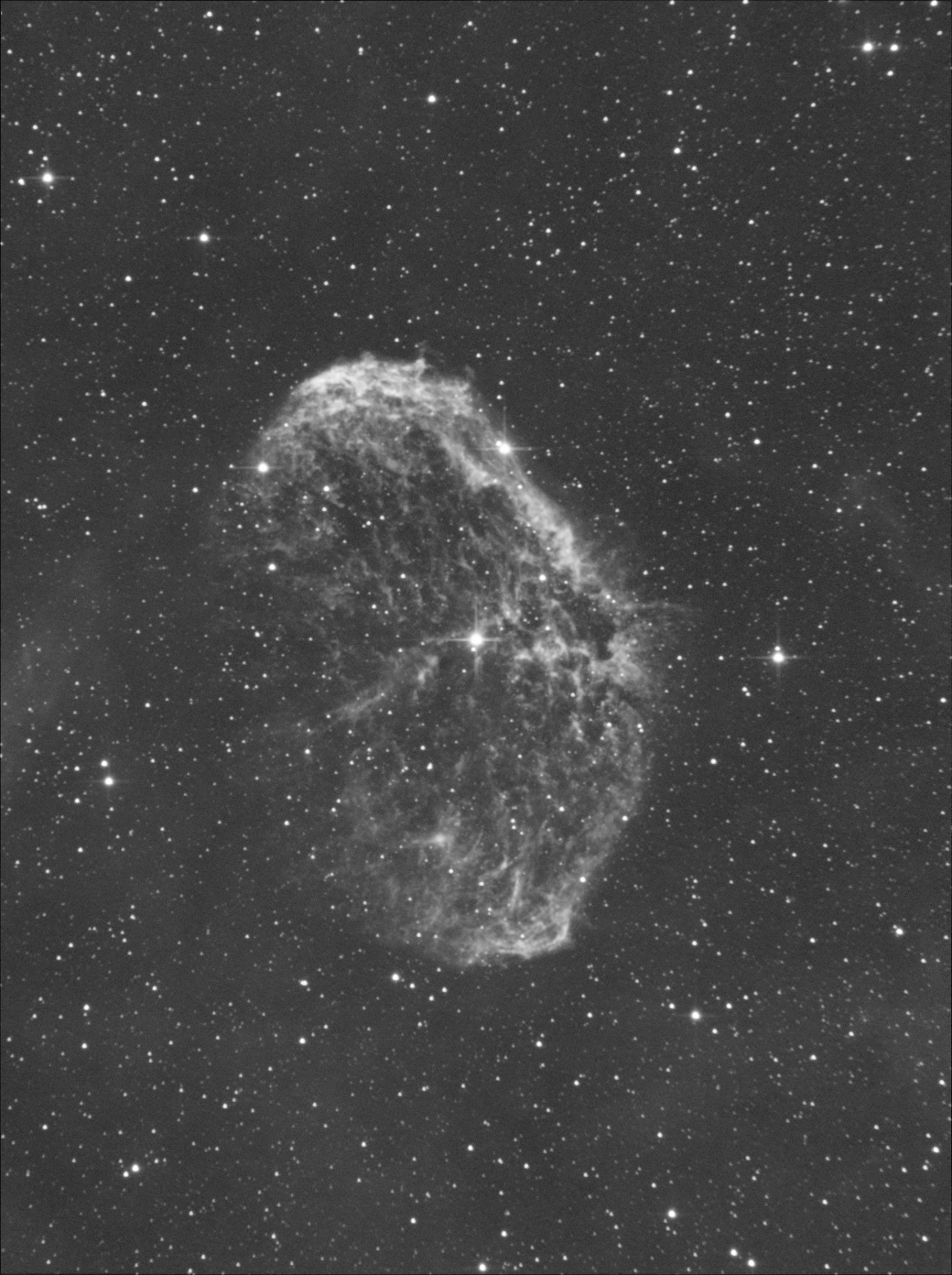 NGC 6888_Crescent nebula_12x240s_11xDark_Ha_DSS_5_small.jpg