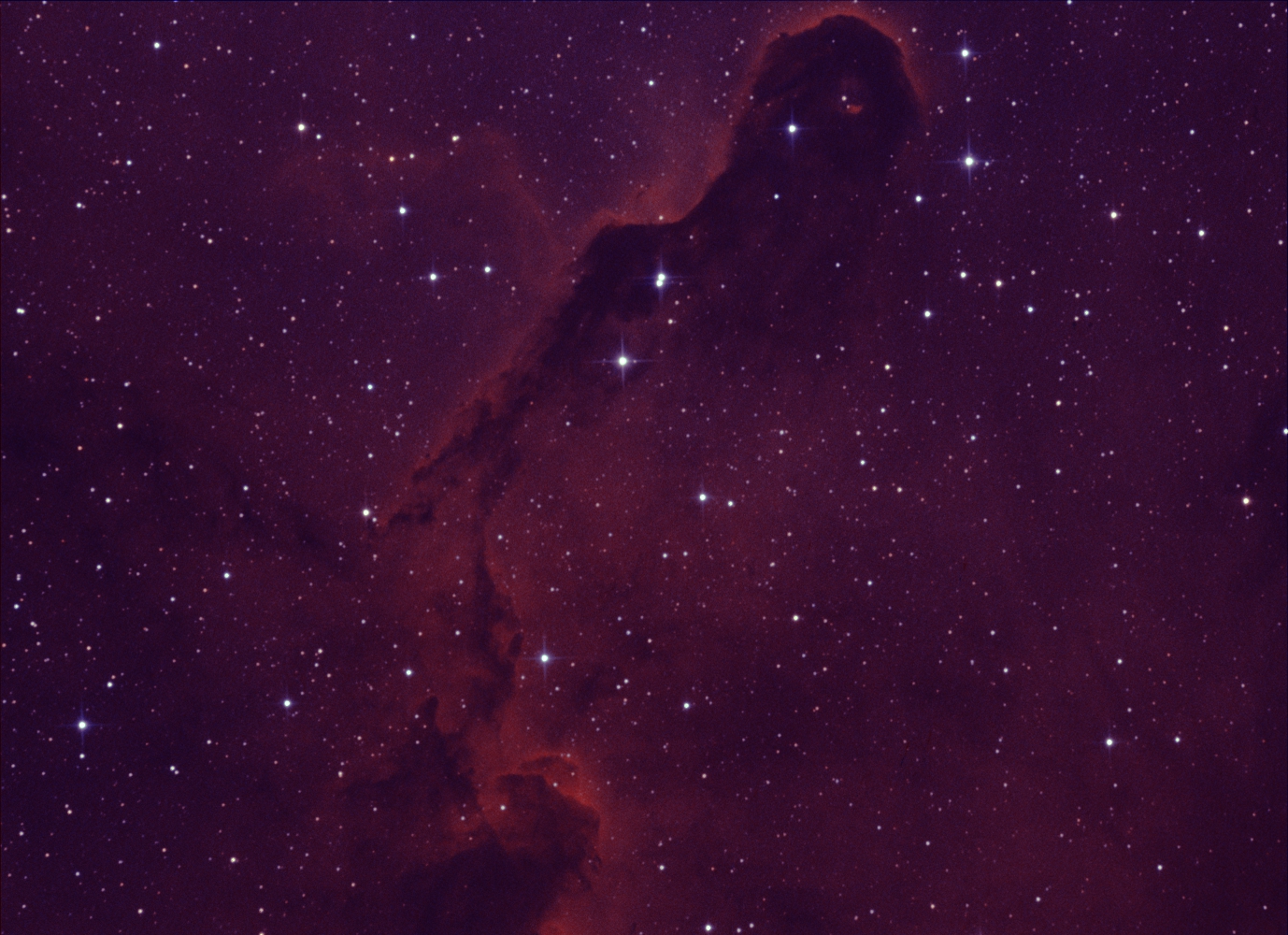 IC 1396_Elephant trunk_bicolor_2.jpg