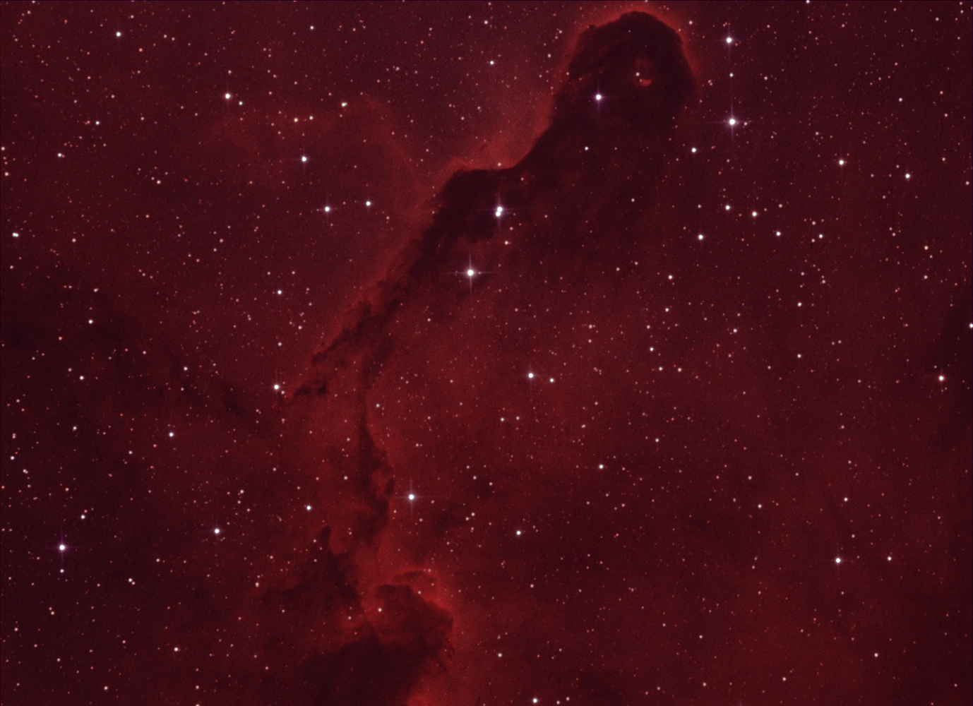 IC 1396_Elephant trunk_bicolor_5.jpg