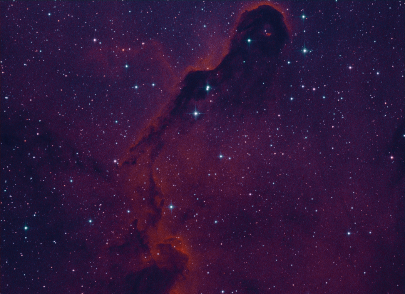 IC 1396_Elephant trunk_bicolor_3.jpg