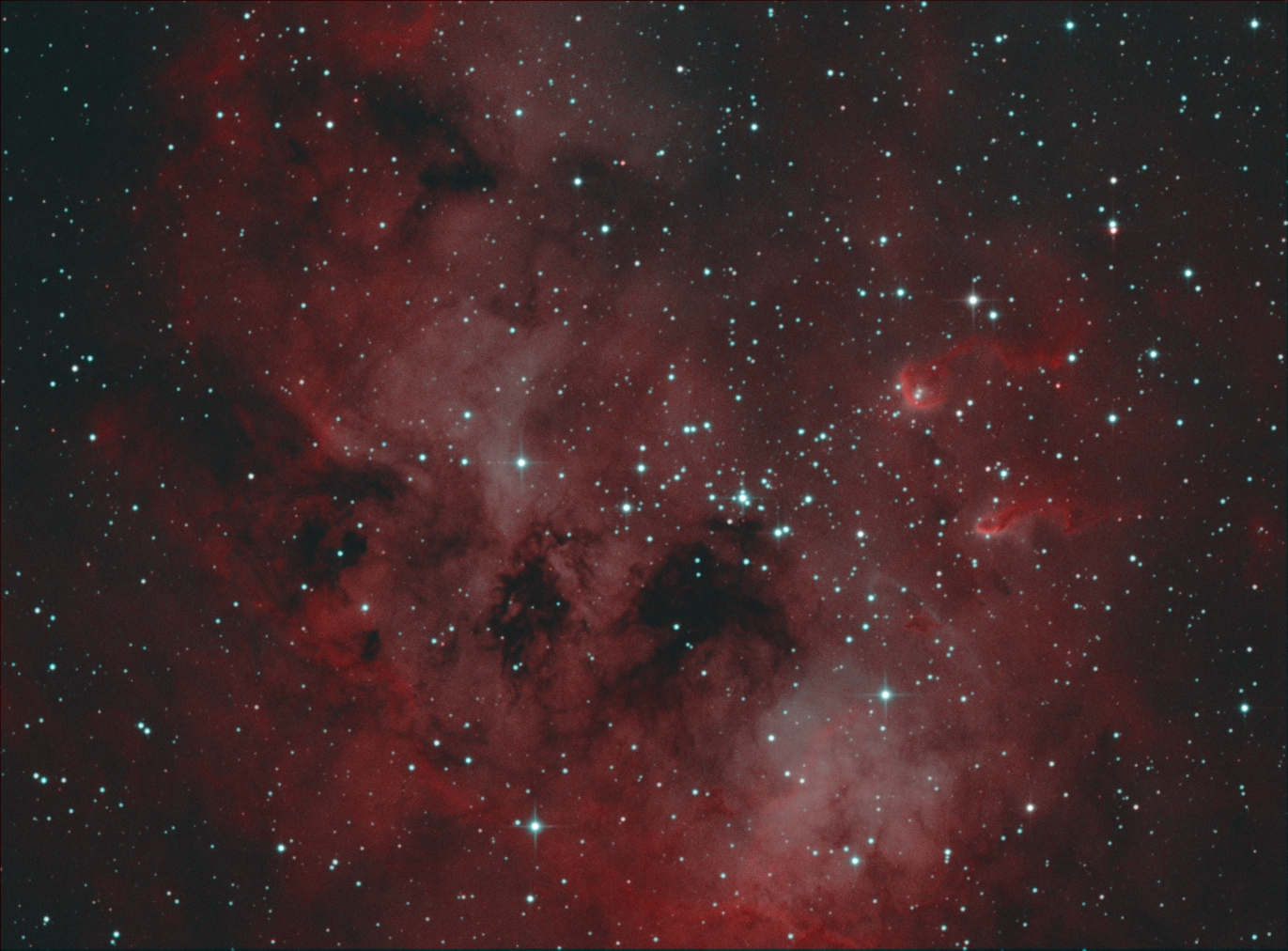 IC 410_Tadpoles nebula_Bicolor_2.jpg