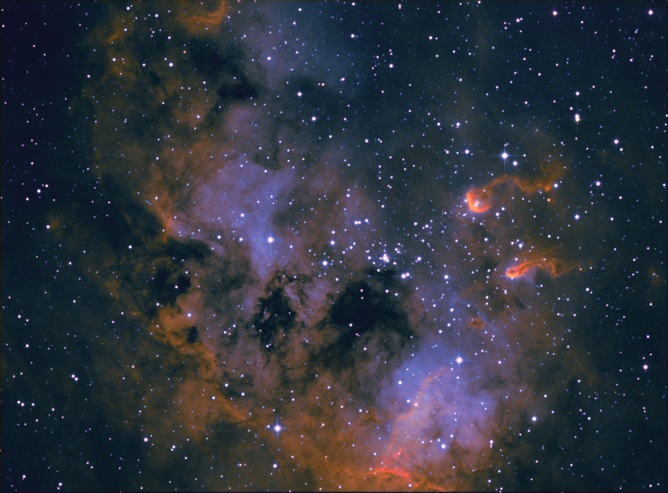 IC 410_Tadpoles nebula_Bicolor_HST_gold-blue_9.jpg