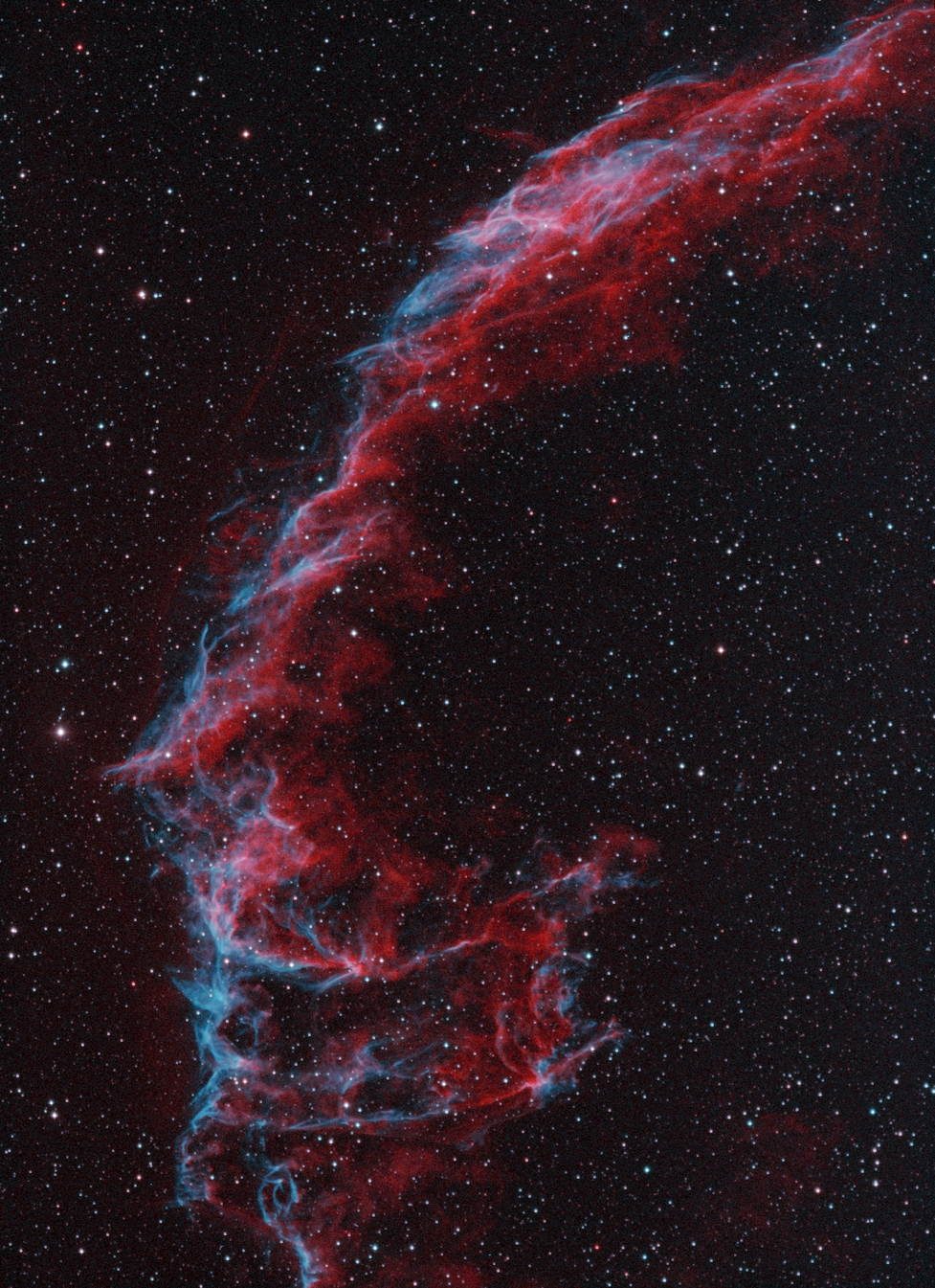 NGC 6995_bicolor_9_turned.jpg