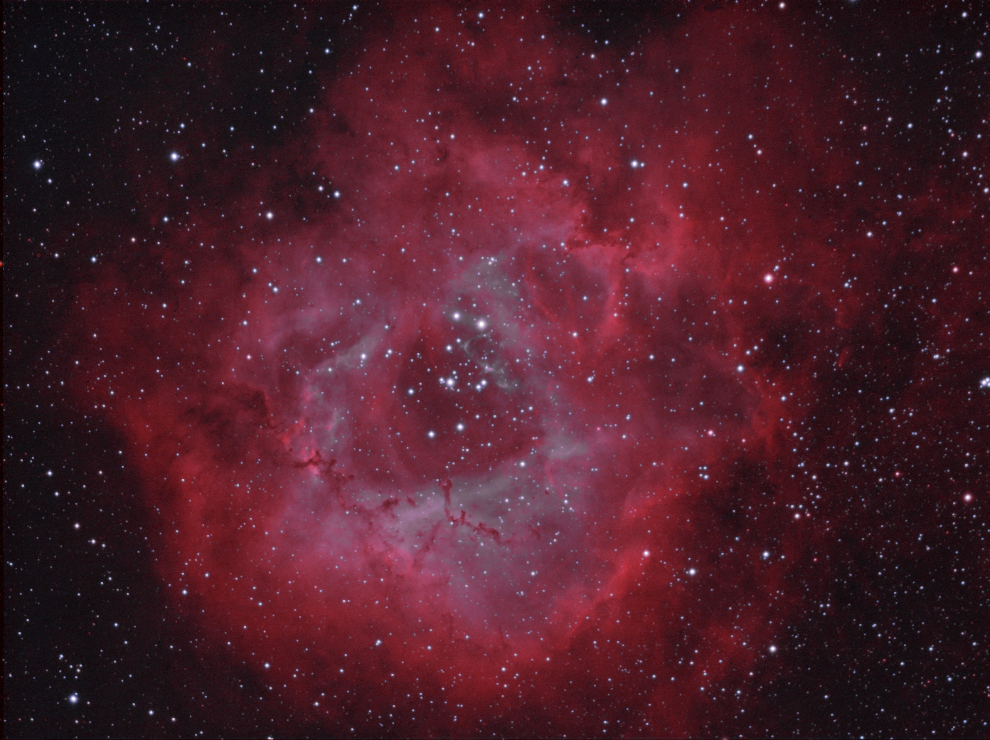 Rosette nebula_bicolor_7.jpg