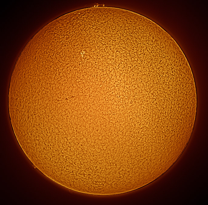 SUN_final.jpg